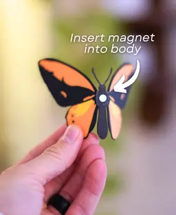 Butterfly Fridge Magnets - Pack II 3d model