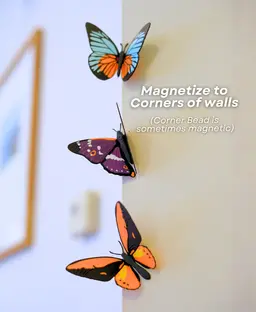 Butterfly Fridge Magnets - Pack II 3d model