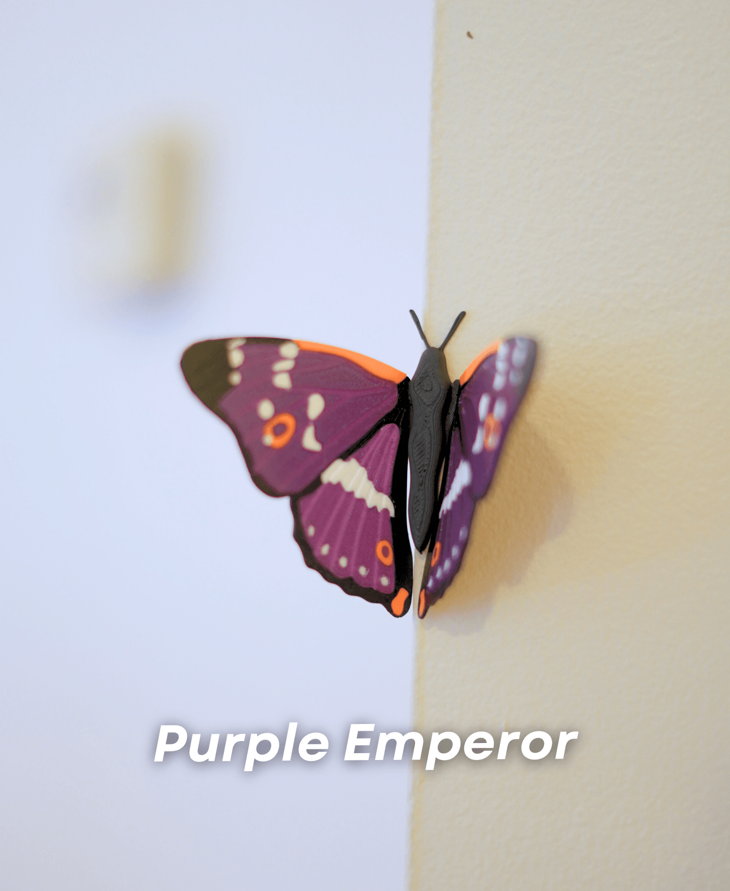 Butterfly Fridge Magnets - Pack II 3d model