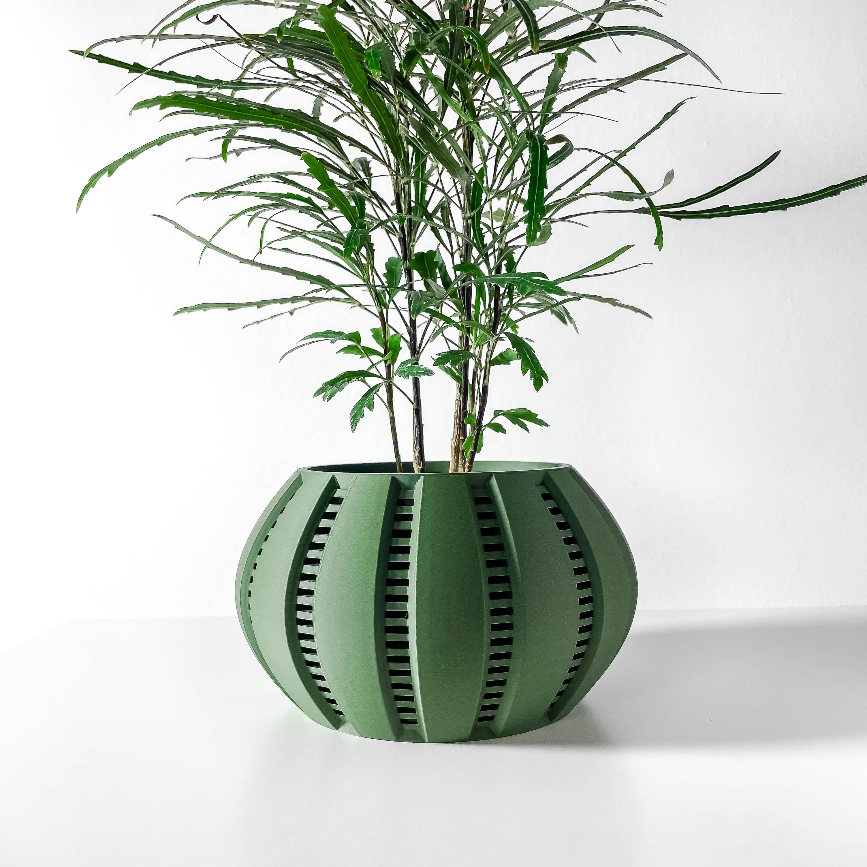 The Balu Planter Pot with Drainage Tray & Stand: Modern and Unique Home Decor for Plants 3d model