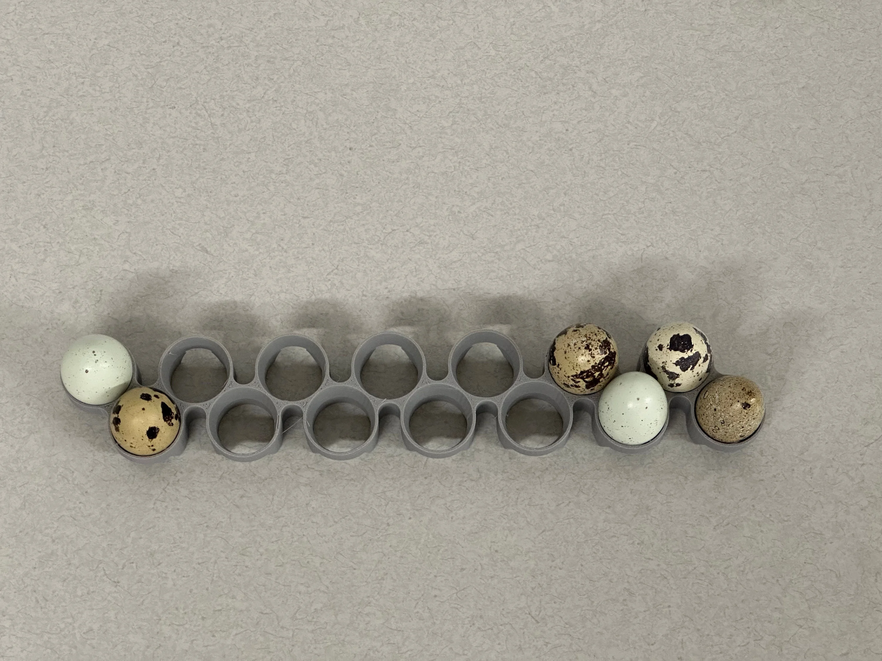 Maticoopx Incubator Quail Egg Tray (Regular sized eggs) 3d model
