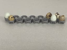 Maticoopx Incubator Quail Egg Tray (Regular sized eggs) 3d model