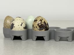 Maticoopx Incubator Quail Egg Tray (Regular sized eggs) 3d model