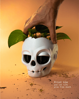 Skull planter 3d model