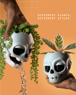 Skull planter 3d model