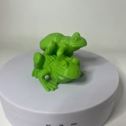 Two Frog 3d model