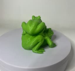 Two Frog 3d model