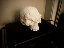 Battle-Scarred Skull - Dark Decor 3d model