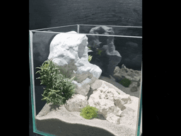 Hanging Rock Aquarium & Terrarium Cave | Vertical Rock type Fish Hideout | Reptile Natural Shelter 3d model
