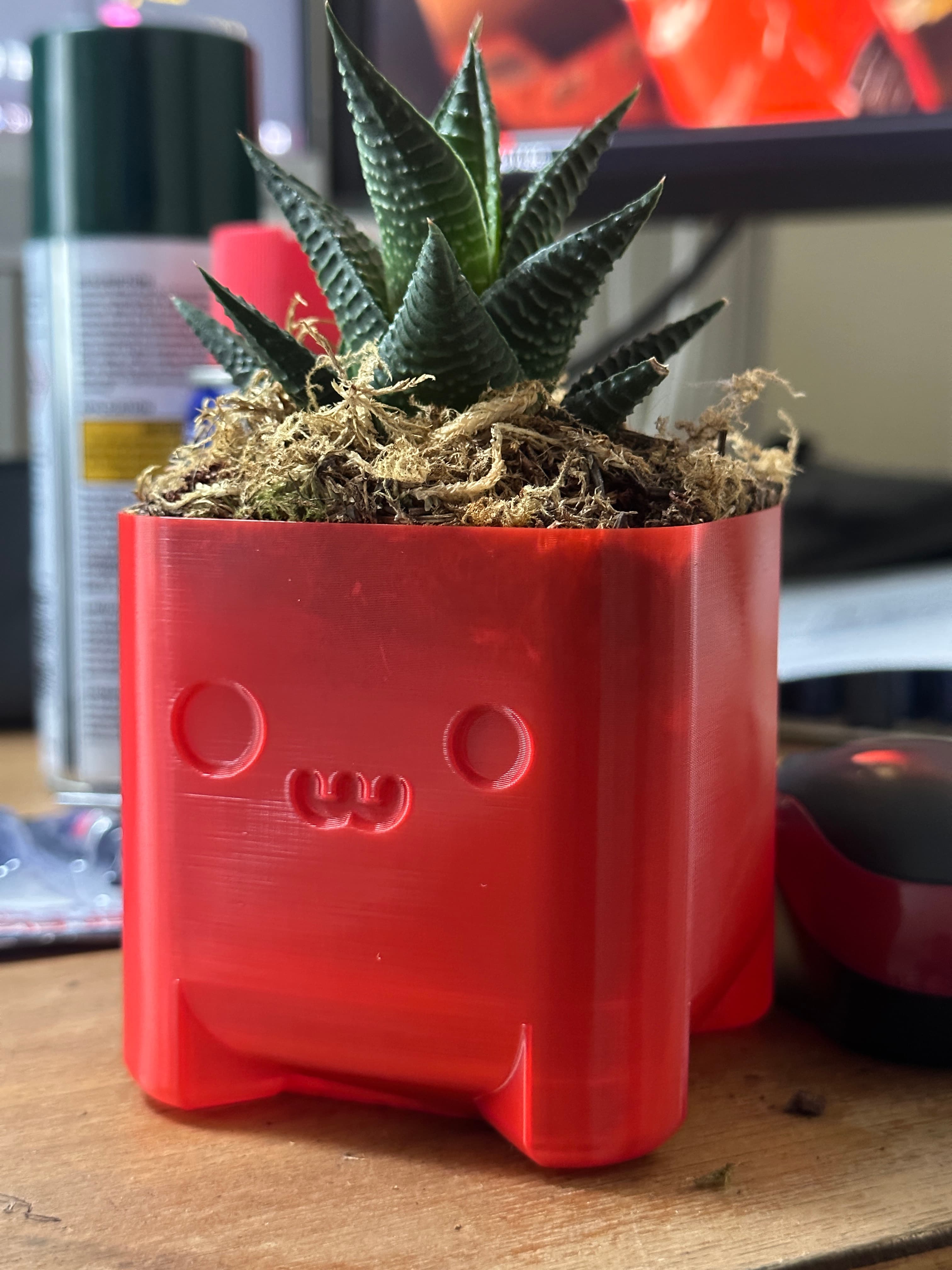Cute Planter Timo 3d model