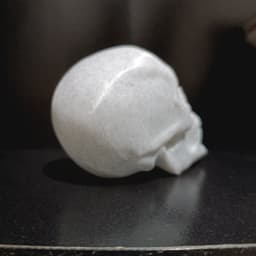 Male Skull Sculpt, Sculpture, Various Versions 3d model
