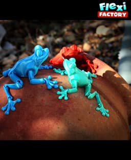 Flexi Factory Frog 3d model
