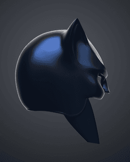 Wildcat's Mask - Stargirl 3d model