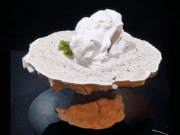 Aquarium & Terrarium Rock form Cave Decor | Natural Fish Tank Shelter | Reptile and Amphibian Hide 3d model