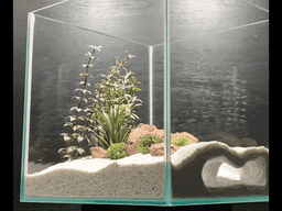 Natural Aquarium Sea Bottom Cave Hide | Shelter for Fish Tanks & Terrariums | Big Visible Openings 3d model