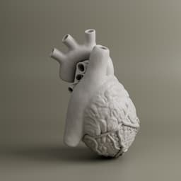 Heart Anatomy For Education 3d model