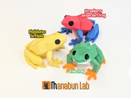 Low Poly Frog Magnet Puzzle (No supports, no AMS) 3d model