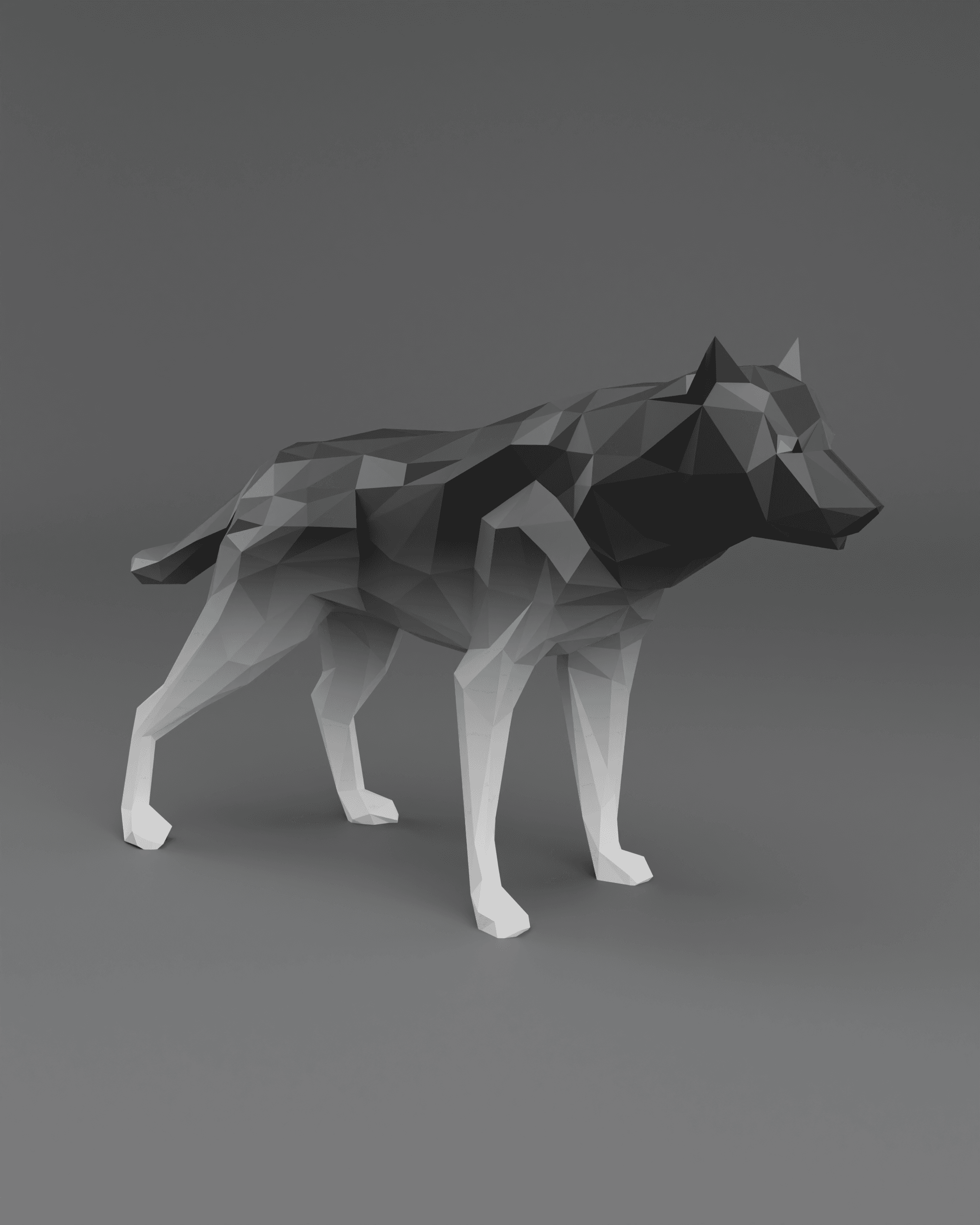 Low Poly Wolf 3d model