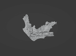 Puzzle of South Africa 3d model