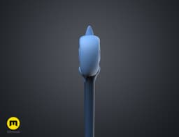 Gus’s Chameleon Palisman Staff – The Owl House 3d model
