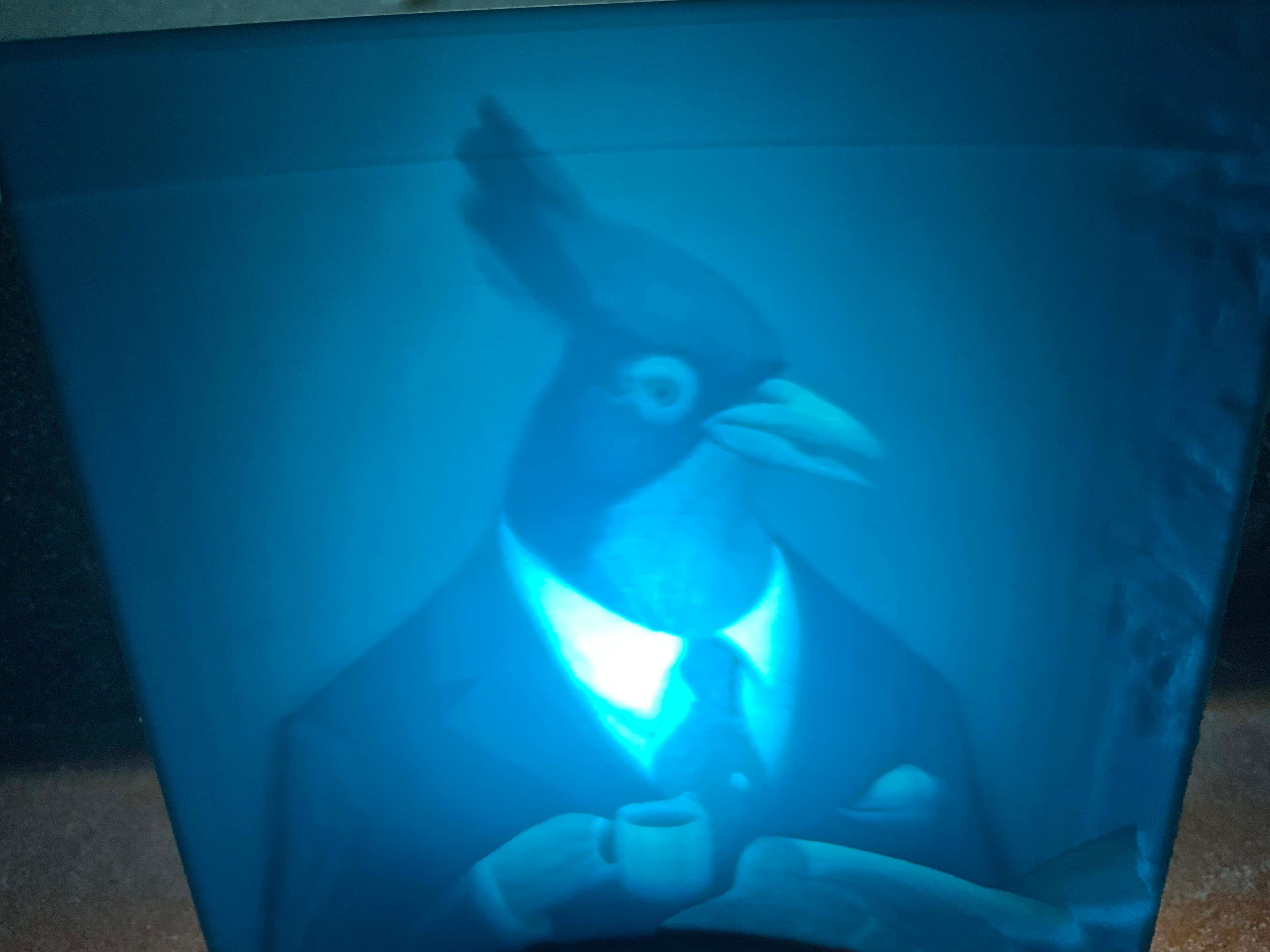 Lithophane of a Steller’s Jay 3d model