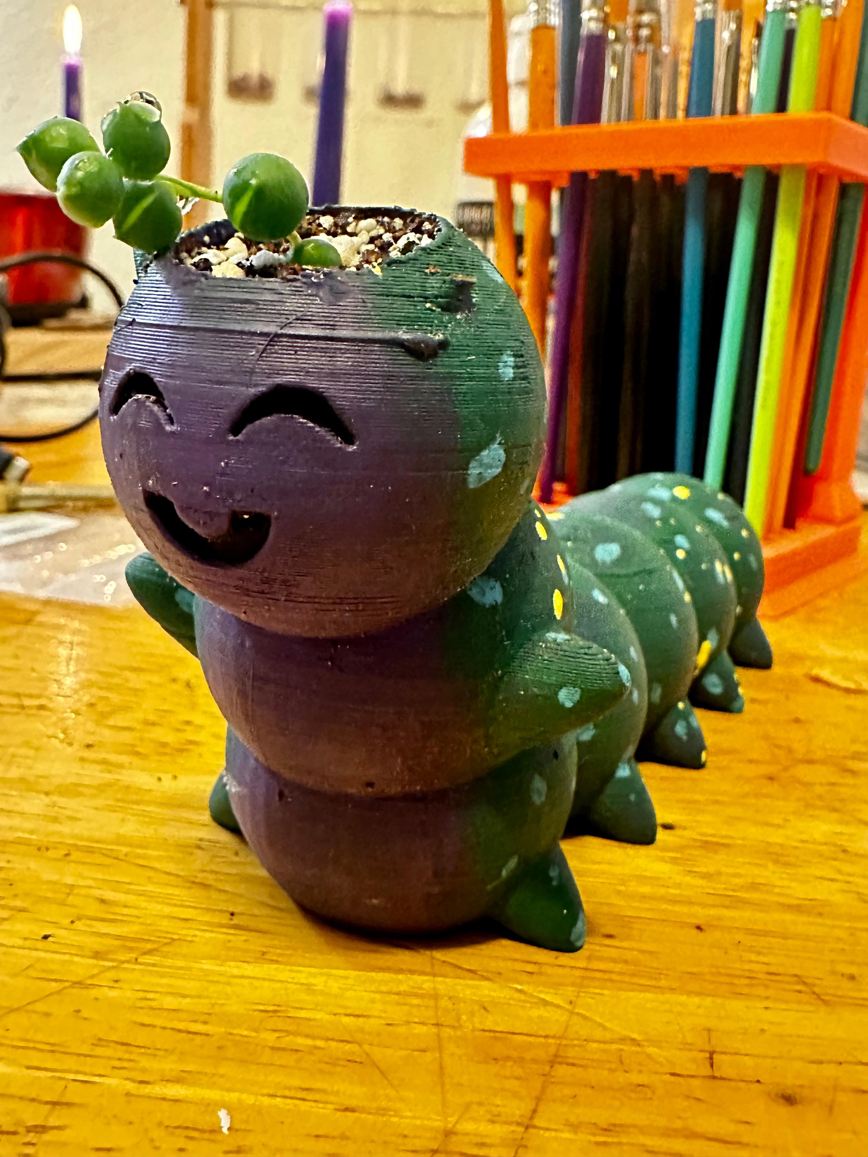 Caterpillar pot 3d model
