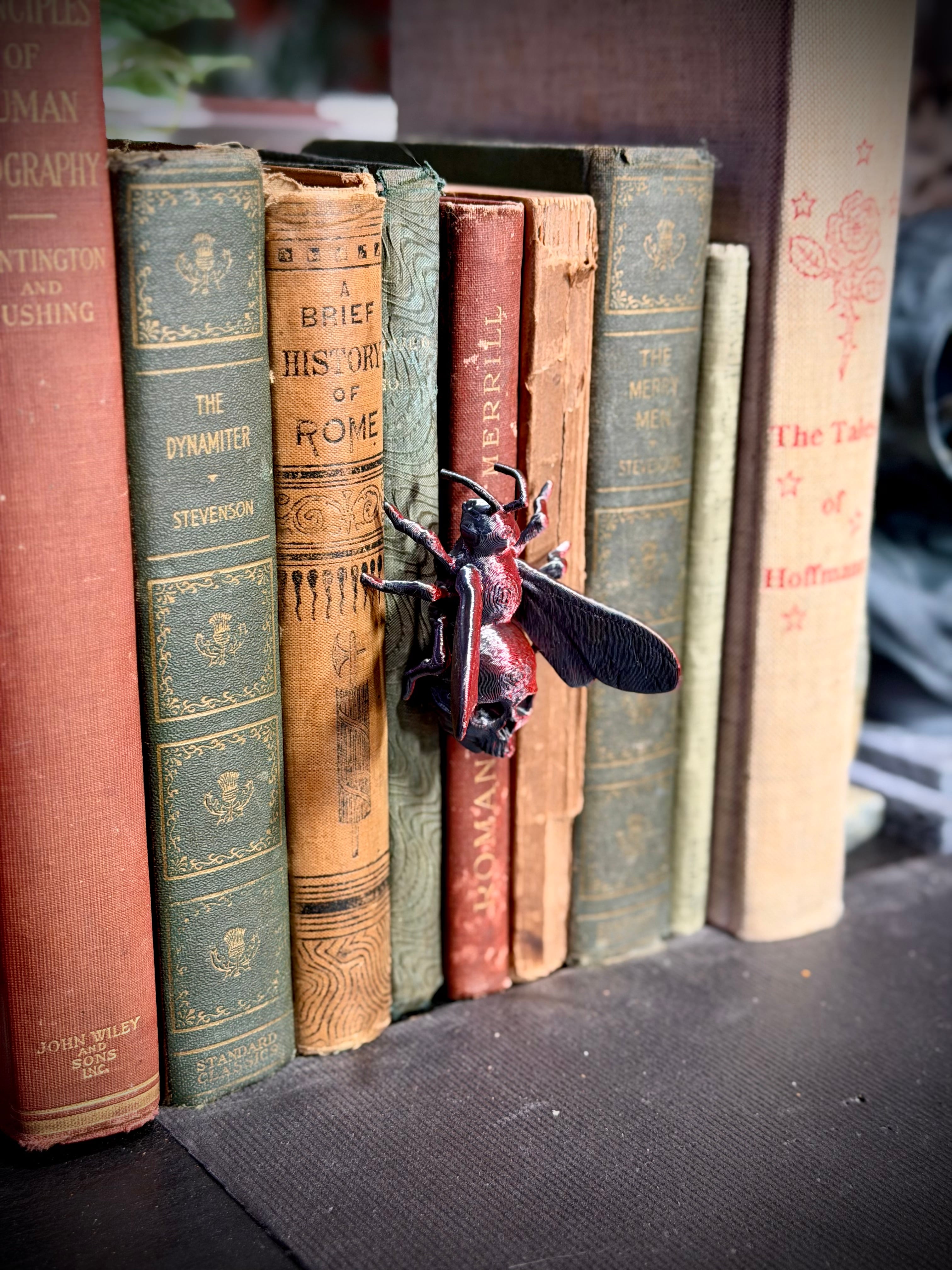 Skull bee spine hugger 3d model