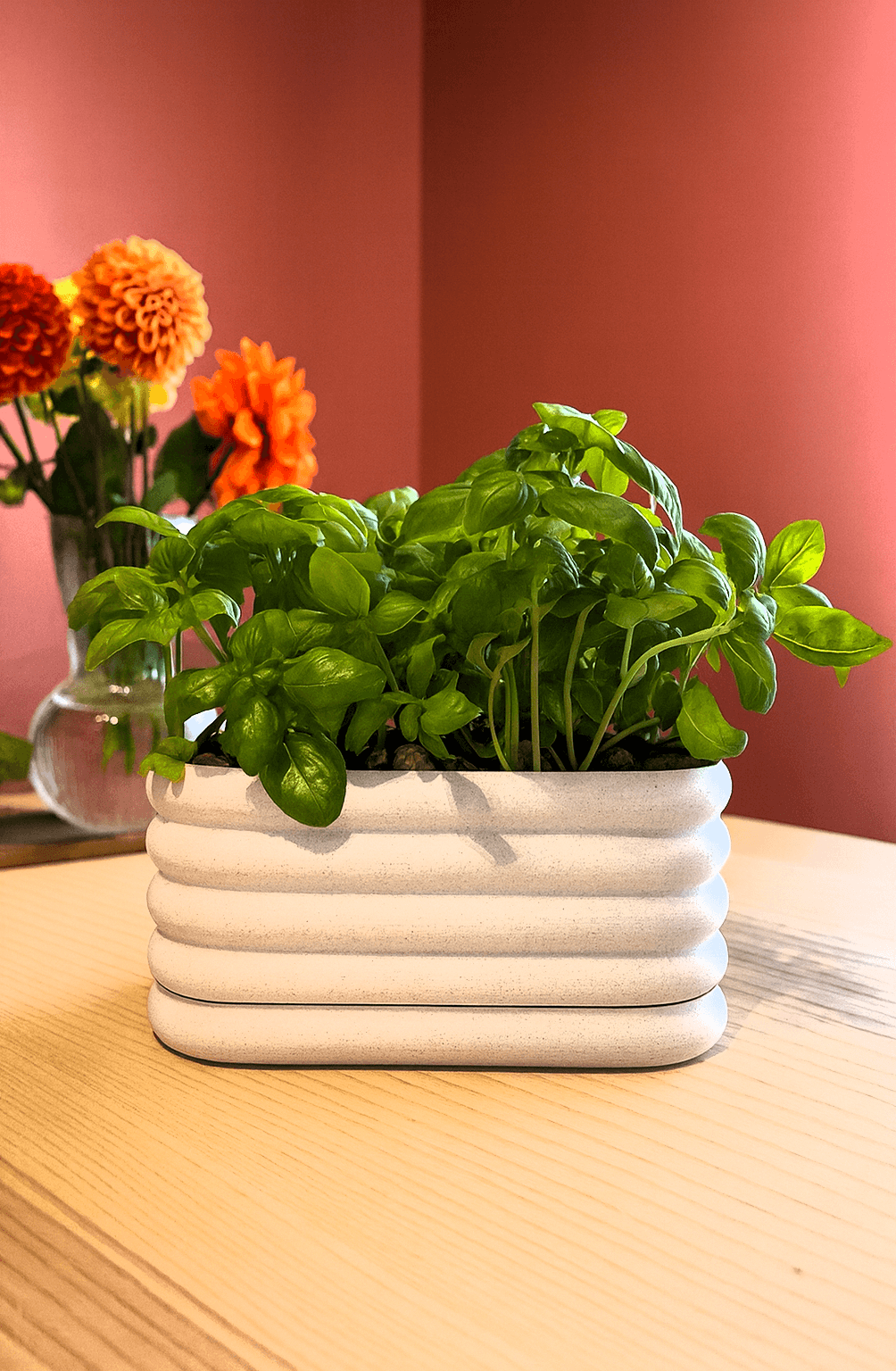 Aerodrain Planter 3d model