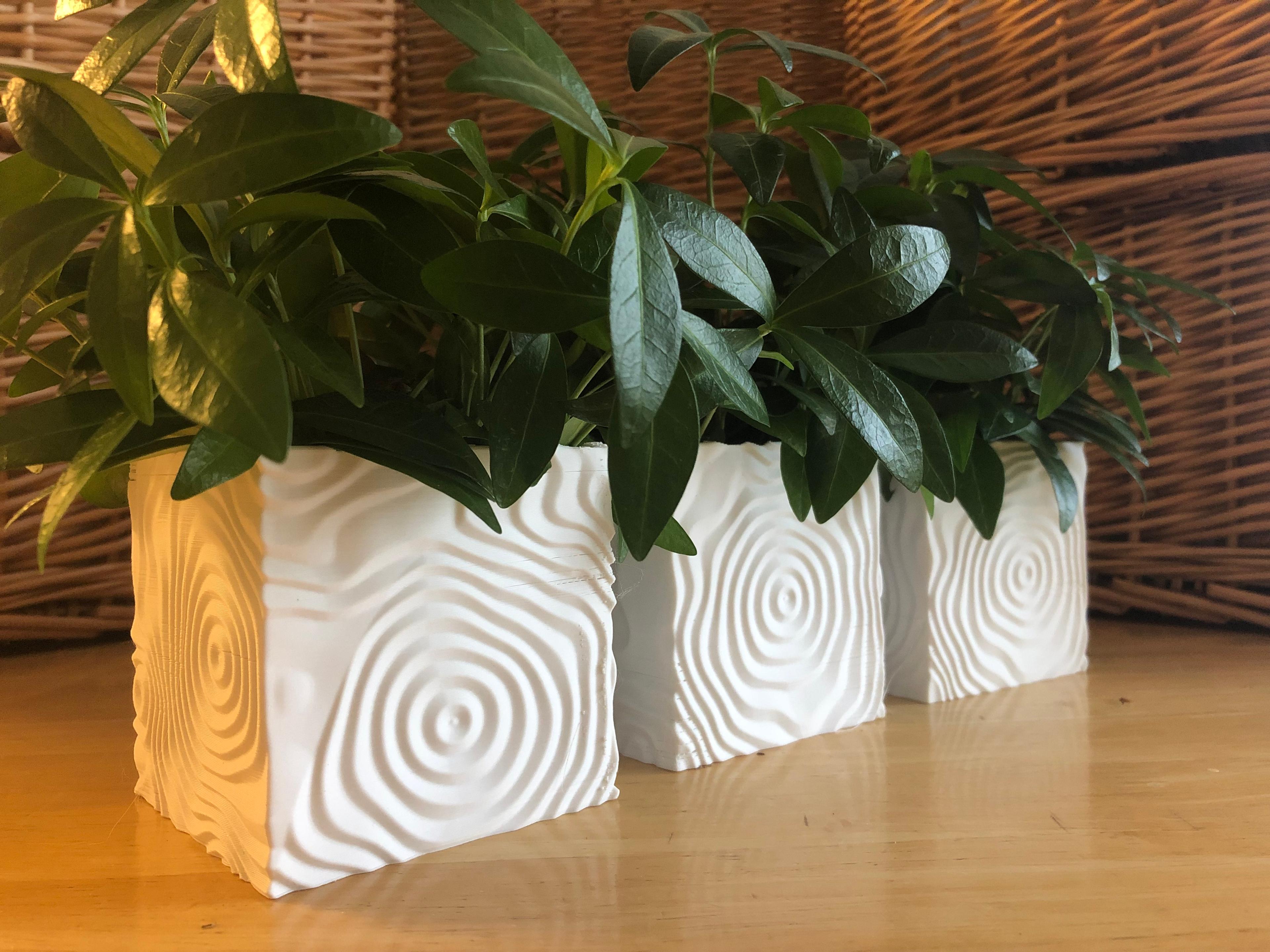 Ripple Vases (Cube) 3d model