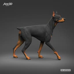 Doberman Pinscher Cropped Ears Docked Tail 3D Print Pose 03 3d model