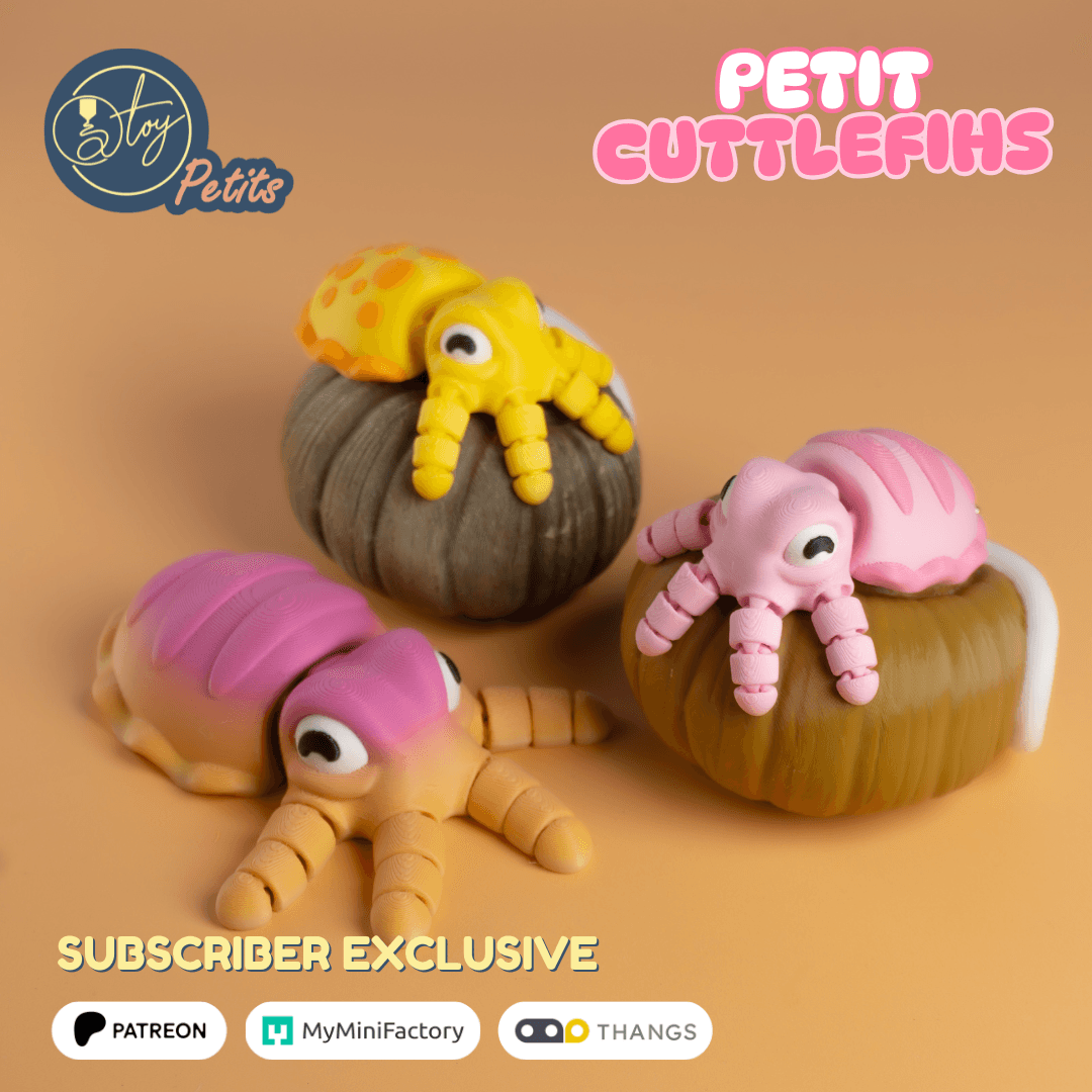 PETIT CUTTLEFISH 3d model