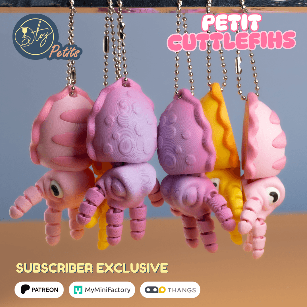 PETIT CUTTLEFISH 3d model