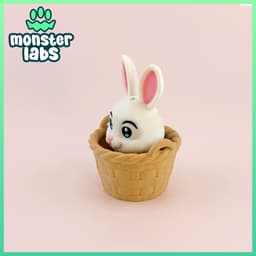 Basket Bunny Fidget Clicker Keychain 3d model