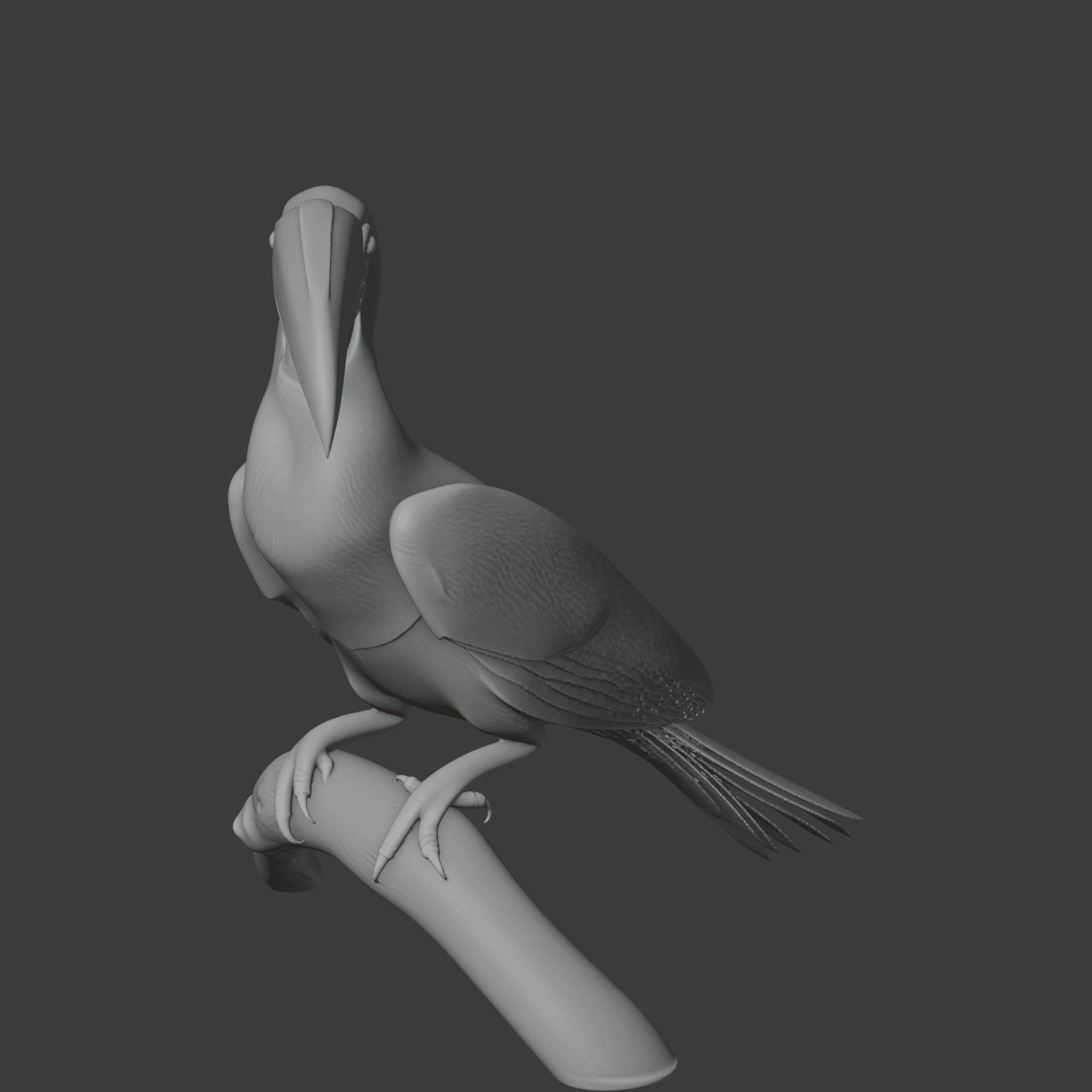 Hornbill 3d model