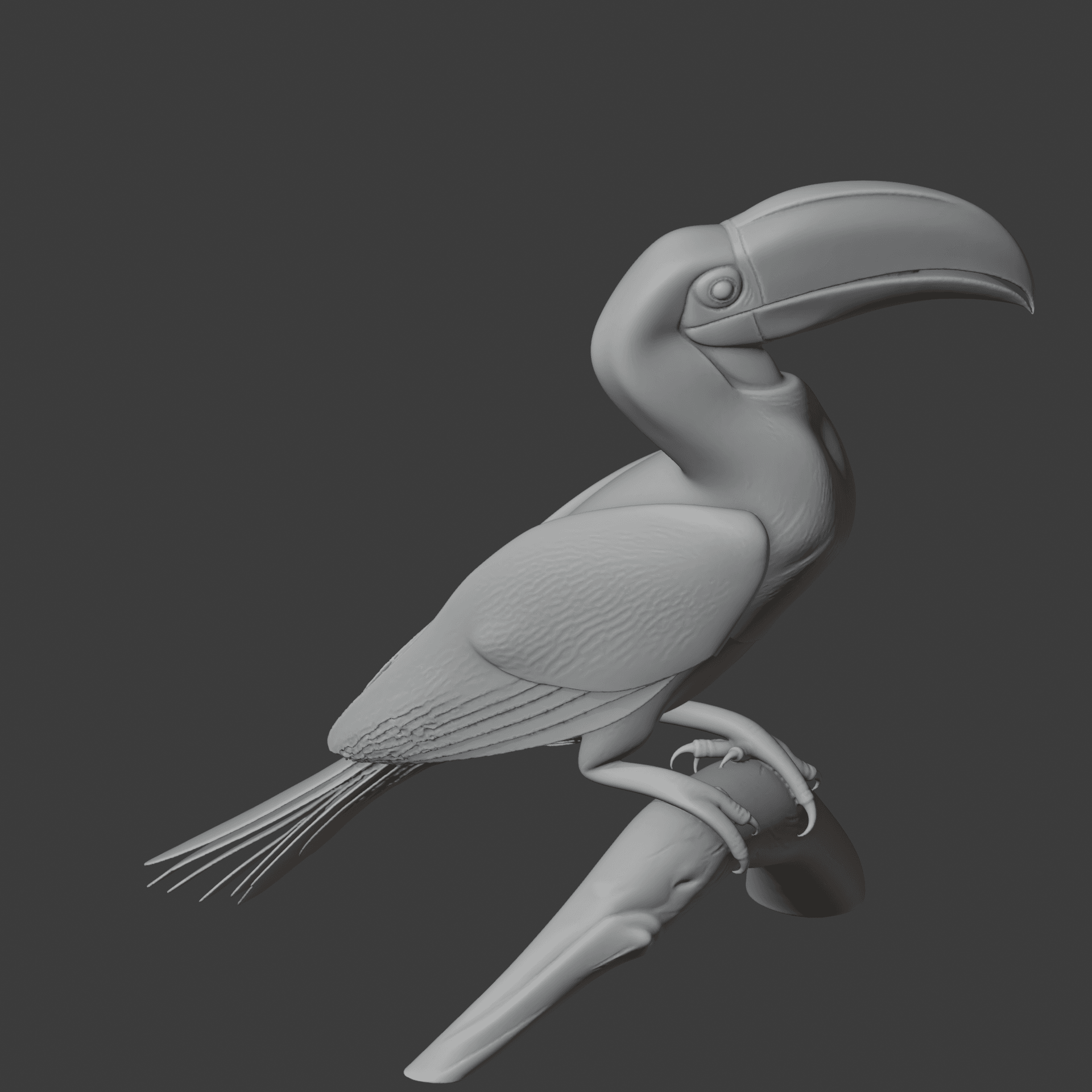 Hornbill 3d model