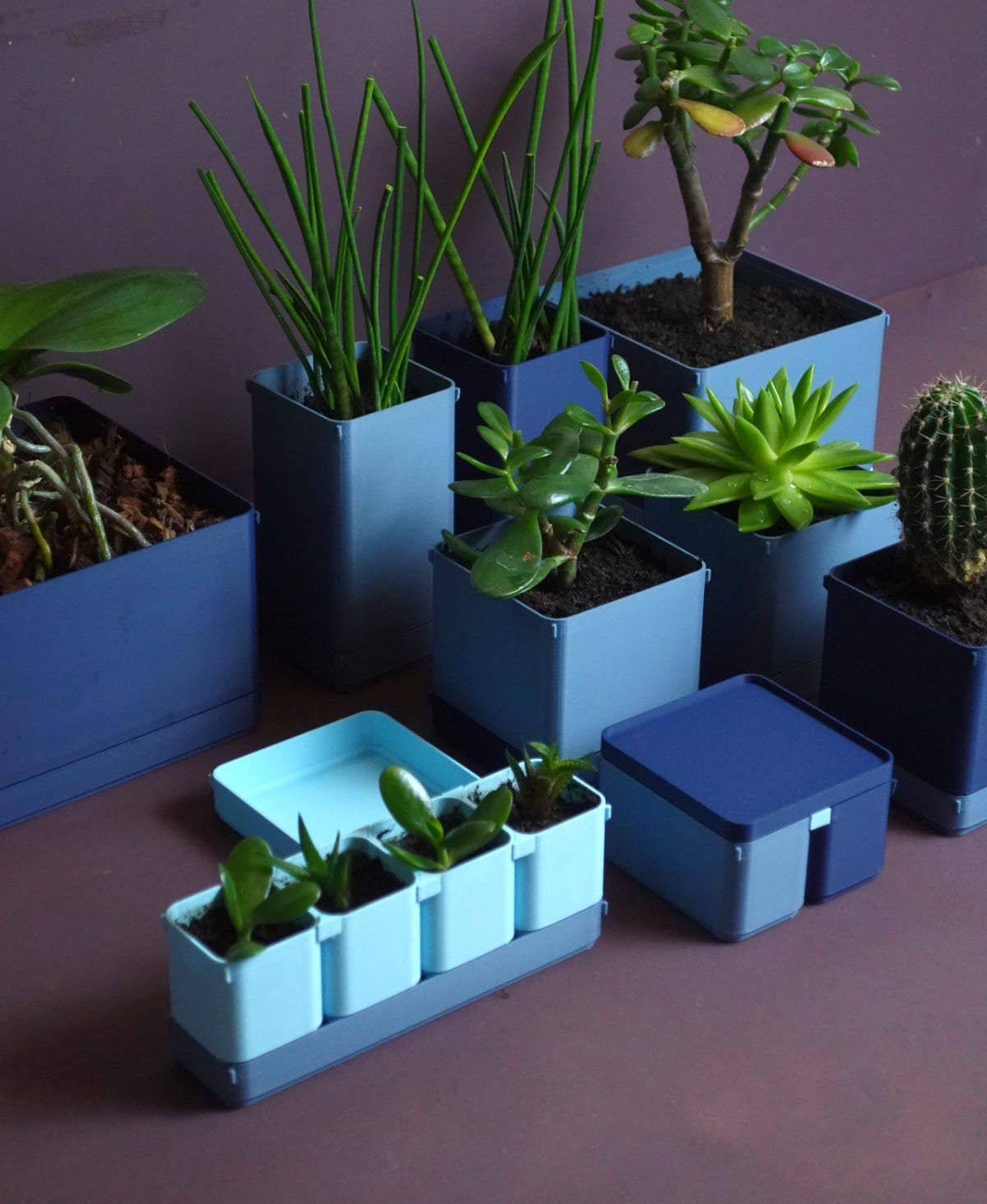 BOXY Planters 3d model