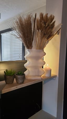 Fluid Vase with a Secret. 3d model
