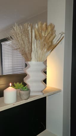 Fluid Vase with a Secret. 3d model
