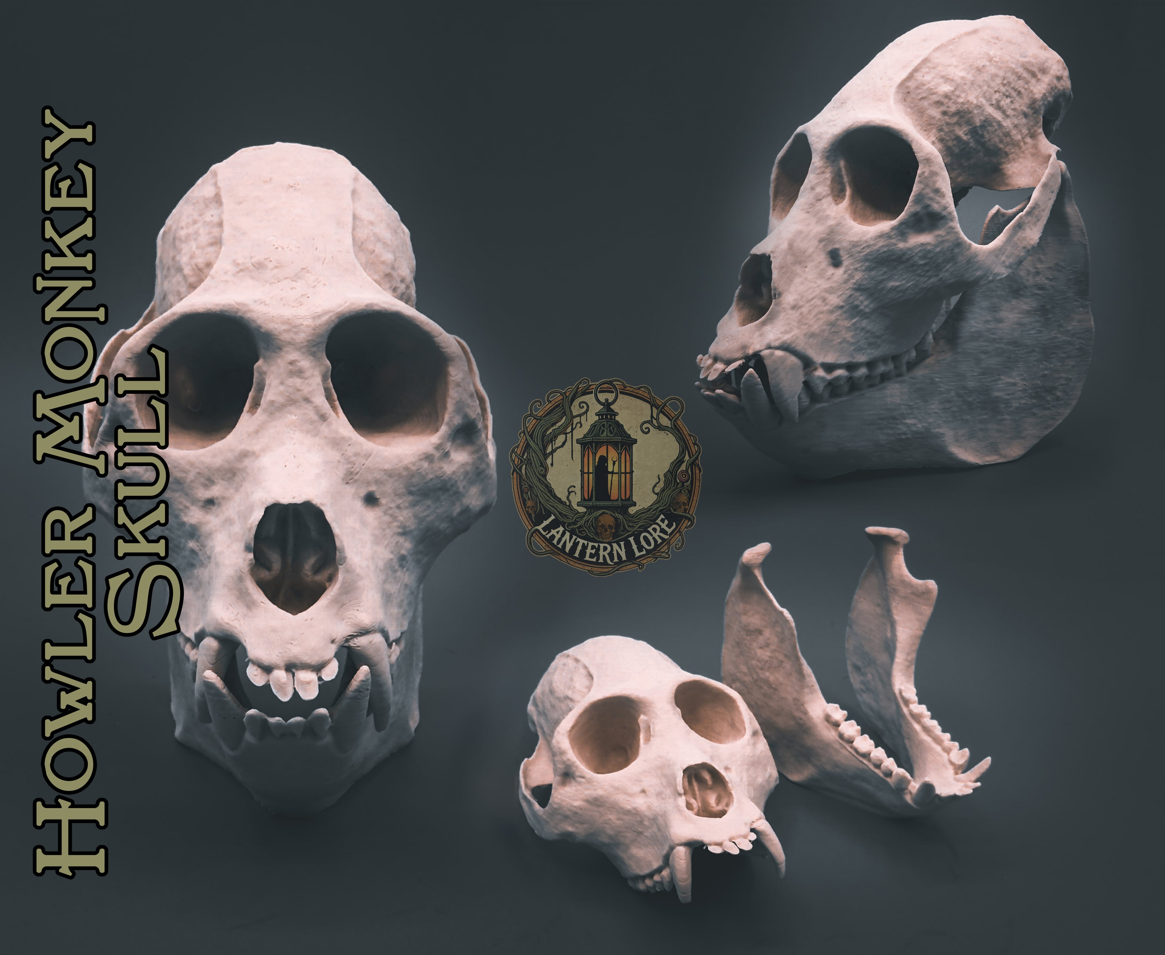 Howler Monkey Skull (Pre Supported) 3d model