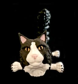Maine Coon Cat (Personal Use) 3d model