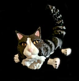 Maine Coon Cat (Personal Use) 3d model