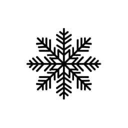 Leather Stamp 75mm Snowflake 3 3d model