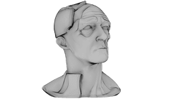 Kintsugi Portrait 3d model