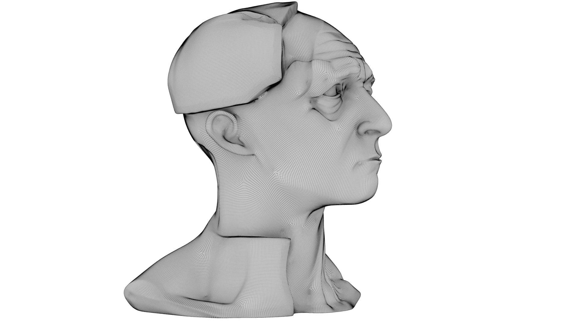 Kintsugi Portrait 3d model