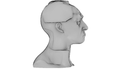 Kintsugi Portrait 3d model