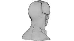 Kintsugi Portrait 3d model