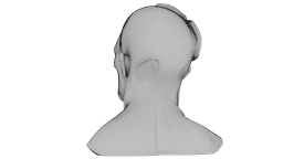 Kintsugi Portrait 3d model