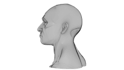 Kintsugi Portrait 3d model