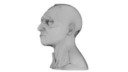 Kintsugi Portrait 3d model