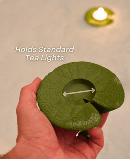 Bath Lilies - Wine Lily and CandleLily - Bath Wine Holder, and Tub Candle Floats, Frog 3d model